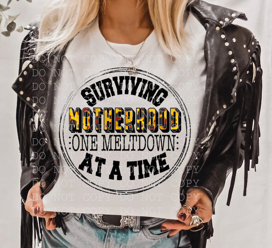 Surviving Motherhood One Meltdown At A Time Digital Download